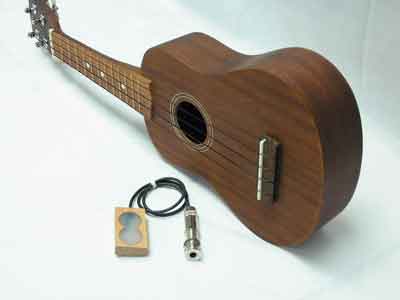 dualieclassical.JPG (30930 bytes)